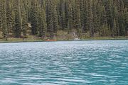 97 - Maligne Canyon, Medicine Lake, Maligne Lake - IMG_1177